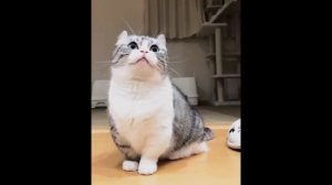 Бананчики 10 часов!