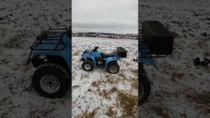 Квадроцикл Пума 250