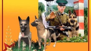 военная зарядка до4 гр9