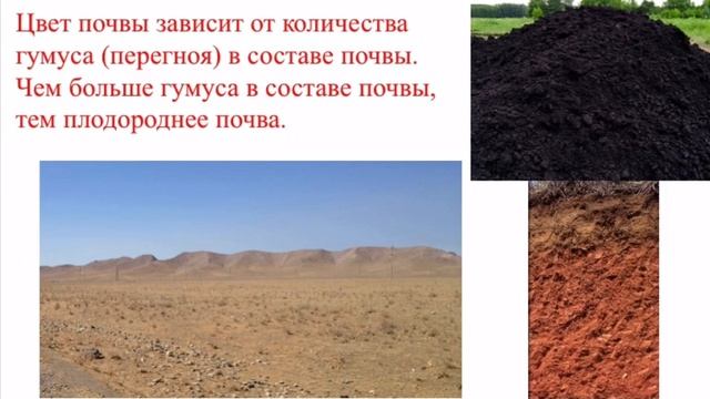 Тема 38. Почва (6 класс)