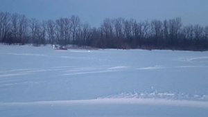 Аэролодка 4 м. Сузуки 55 л/с.