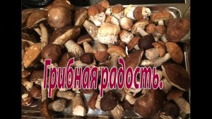 Грибная радость. Грибы на дачном участке.