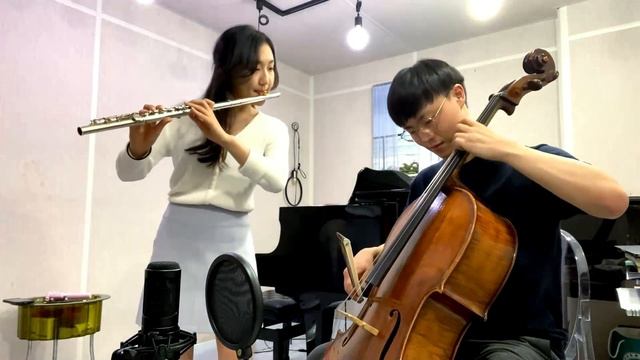 Rewrite the Stars (The Greatest Showman) Cello and Flute cover - Vincello and Jamie Ha смотреть онлайн