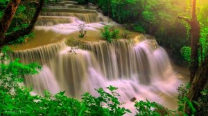 3 HOUR Relaxing Piano Music - Sound of the Waterfall & Bird Singing