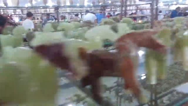 ИЗДЕЛИЯ ИЗ ОНИКСА РУЧНАЯ РАБОТА ТУРЦИЯ