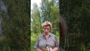 Торф из леса можно взять? Ответ здесь!