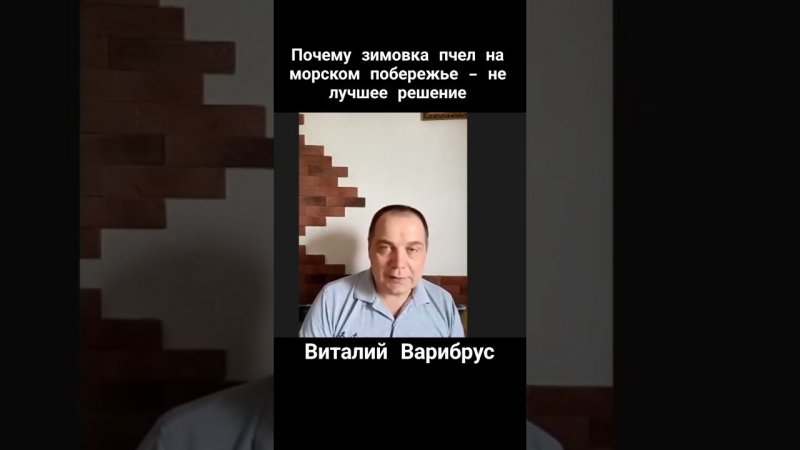 Почему нужно увозить пчел с побережья в декабре? #блогсенцова #подкаст #варибрус