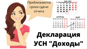 Заполняем и отправляем нулевую декларацию УСН за 2021 год за 5 минут