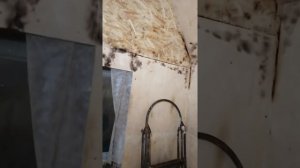 Фанера, как отделочный материал