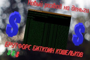 БРУТФОРС БИТКОИН КОШЕЛЬКОВ | СЛИВ ПЛАТНЫХ ПРОГРАММ |БРУТ БИТКОИН| РАЗБОР РАБОТЫ