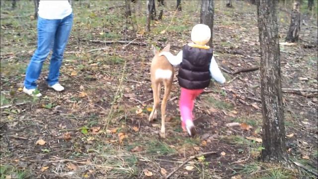 Сафари парк Приморский край смотреть онлайн