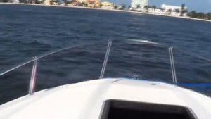 Bayliner 212CU