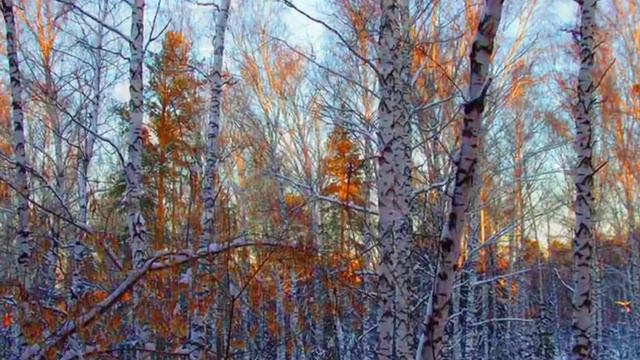 Зима - Академгородок - Новосибирск смотреть онлайн