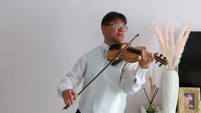Мастеровая скрипка Stanislav Brazda, первая треть XX века, 3/4