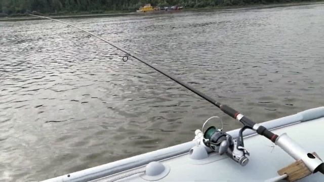 Выезд за судаком на троллинг. Начало сентября. Этот воблер снова сделал рыбалку! смотреть онлайн
