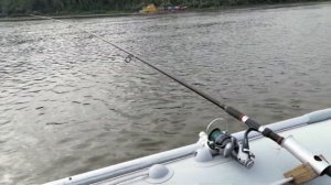 Выезд за судаком на троллинг. Начало сентября. Этот воблер снова сделал рыбалку!