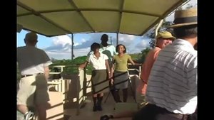 Сент Китс и Невис - обзор достопримечательностей от CruClub.ru