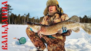 РЫБАЦКИЙ ПРОМЫСЕЛ | ВОТ ЭТО РЫБАЛКА В ГЛУХОЗИМЬЕ