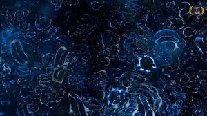 КАК РАЗОГНАТЬ ОБМЕН ВЕЩЕСТВ | МЕТАБОЛИЗМ | Смотри и Знай