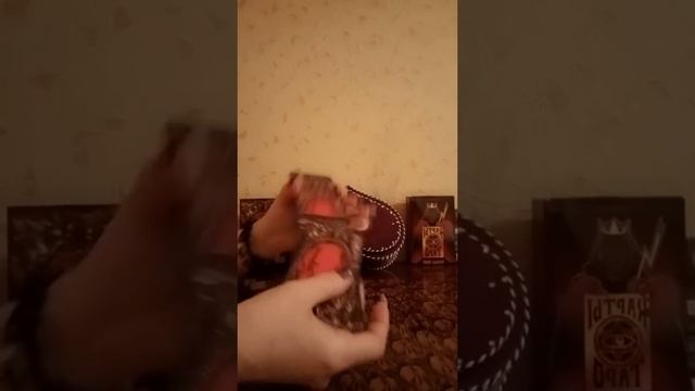 ???ЕСТЬ ЛИ У НЕГО ДРУГАЯ? Я ЛИ В ЕГО ДУШЕ И СЕРДЦЕ?СОВЕТ ОТ ТАРО ИГРЫ РАЗУМА ☝ #естьлиунеголюбовниц