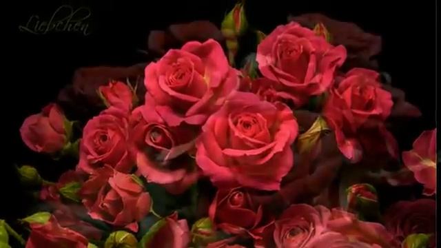 Мелодия роз mpg смотреть онлайн