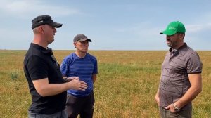 Лен и подсолнечник вписываются в севооборот Алексея Бредуна