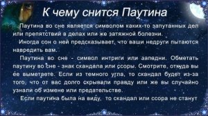 К чему снится Паутина (Сонник)
