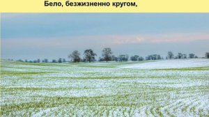 Афанасий Фет. Ещё вчера, на солнце млея....wmv