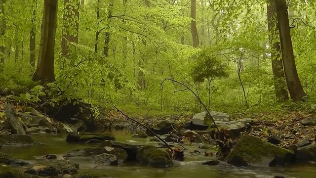 Молитва мытаря. Письма о духовной жизни. Игумен Никон Воробьев смотреть онлайн