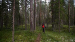 ЗАБРАЛСЯ в РЕАЛЬНУЮ ГЛУШЬ / СПЛАВ / РЫБАЛКА на ДИКОЙ ЛЕСНОЙ РЕЧКЕ