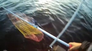 ОНЕЖСКОЕ ОЗЕРО 2020 ТРОЛЛИНГ СУДАКА