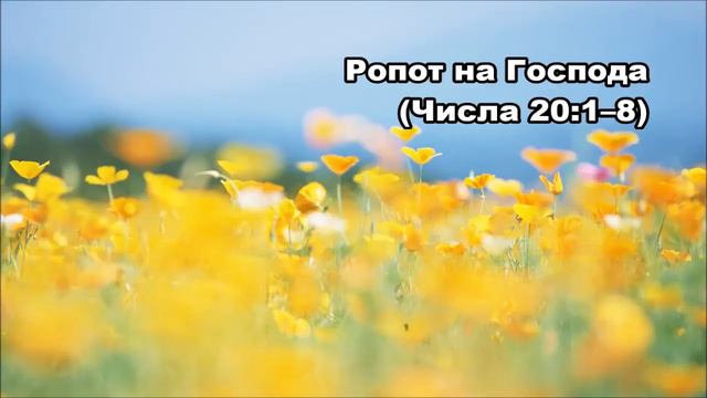 Тихое время с Живой Жизнью: Числа 20:1–13 (26062017) смотреть онлайн