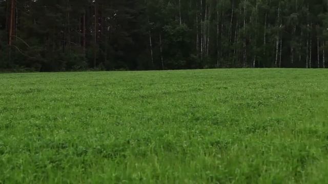 Samba 280 (2,8м) косилка дисковая задненавесная, легкая серия, брус LiteCut смотреть онлайн