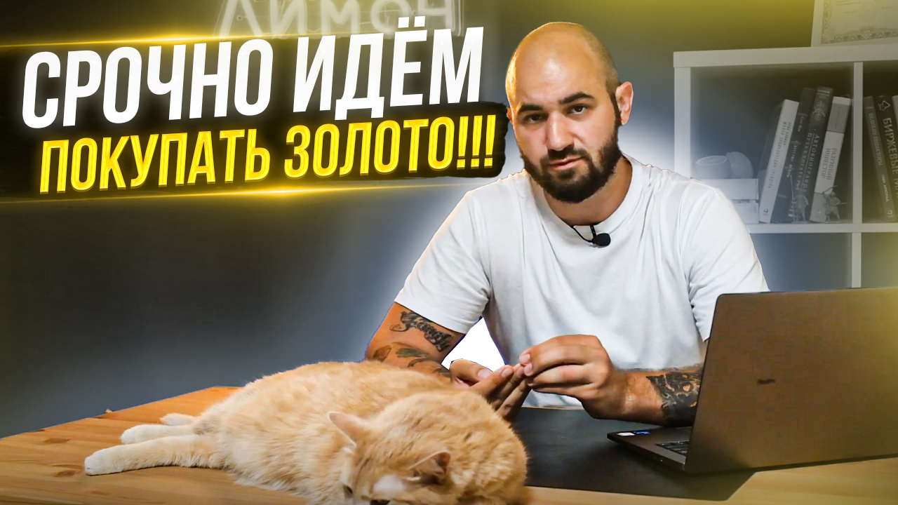Почему всем срочно нужно купить золото??? Разбор новостей, компаний-золотодобытчиков и условий рынка смотреть онлайн