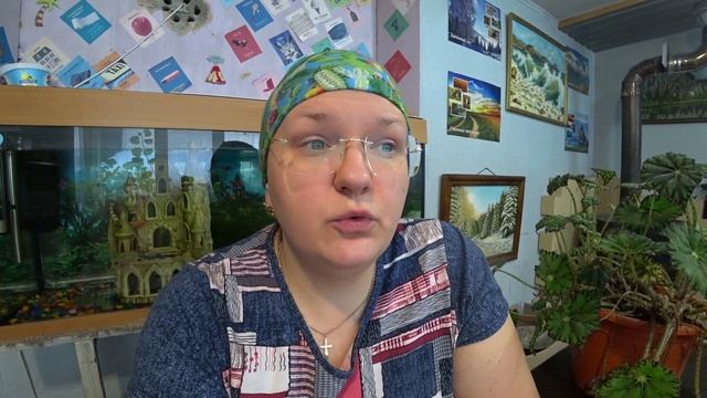 Кардинально меняю сроки посева смотреть онлайн