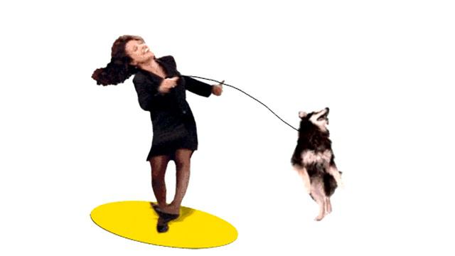 jamming with the dog.mp4 (original) смотреть онлайн