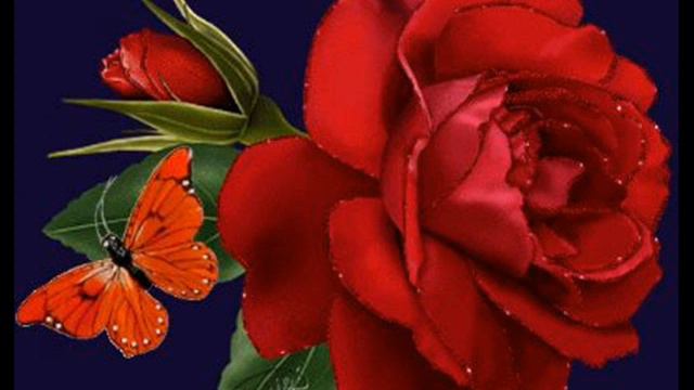 gulsumkuruoglu nl смотреть онлайн