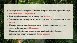 БИОЛОГИЯ. 11 - СЫНЫП.  ҰБТ.  АШЫҚ ТЕСТ ТЕСТ ТАЛДАУ. КООРДИНАЦИЯ ЖӘНЕ РЕТТЕЛУ.