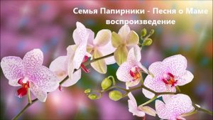 Семья Папирники - Песня о Маме - воспроизведение - Playback christlich