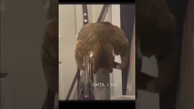 СМОТРИ И СМЕЙСЯ