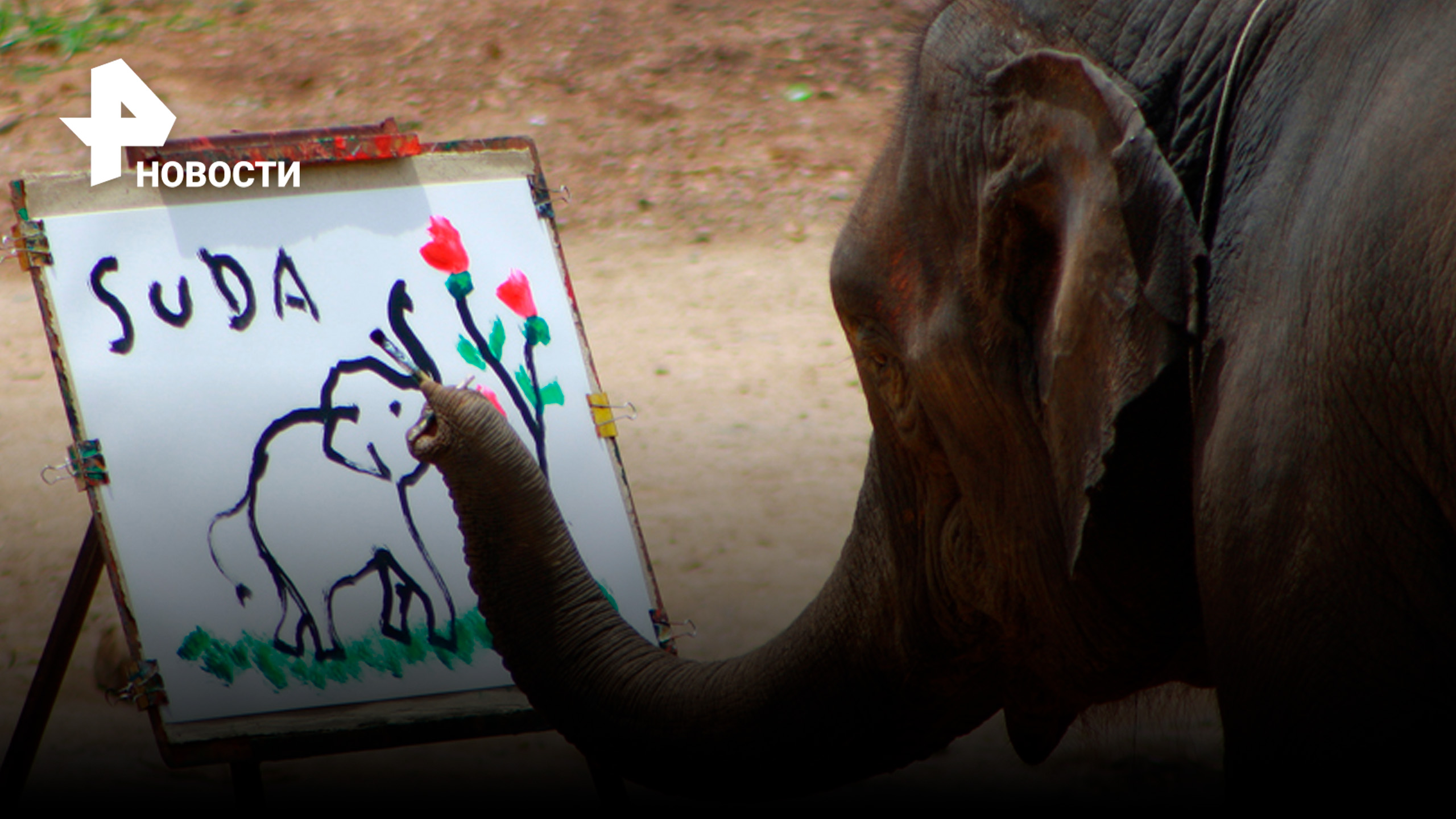 Как слон Ван Гог пишет автопортреты и рисует на заказ / РЕН Новости