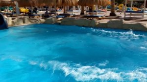 Как мы проводим время в Египте январь / Шарм эль шейх/ Альбатрос Аква Блю/Albatros Aqua Blu Sharm