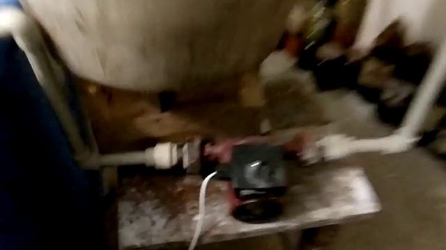 Выращивание осетра в домашних условиях.