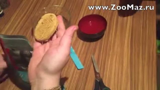 Обзор нового сублемированного корма Ориджен смотреть онлайн