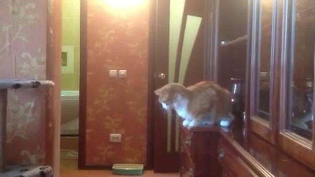 Потолок все еще течет... смотреть онлайн