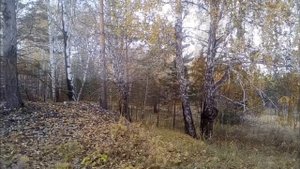 Прогулка по местам Миасских золотарей