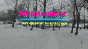 #309 #Мормышинг | Тестируем новые палки |