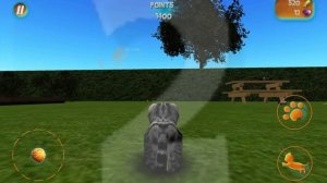 Cat simulator 2015 (Симулятор кота 2015)
