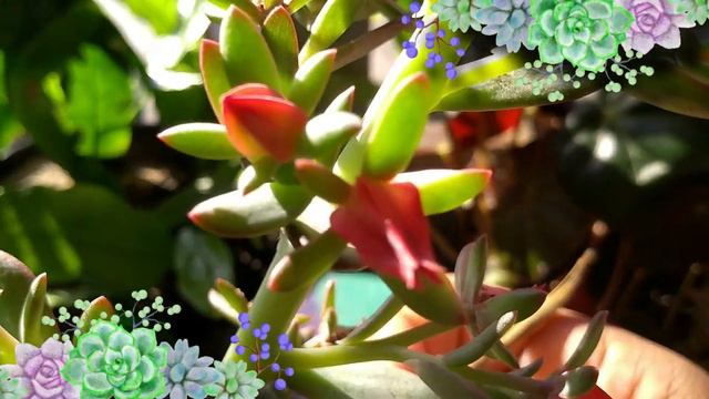 HANAIKADA ANTES DE CORTAR AS HASTES DA SUA ASSISTA ESSE VÍDEO VOCÊ VAI SE ADMIRAR CO O RESULTADO. смотреть онлайн