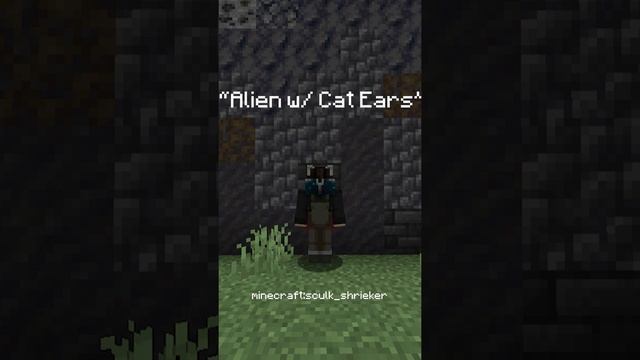 All Minecraft Head Easter Eggs (1.19) #shorts